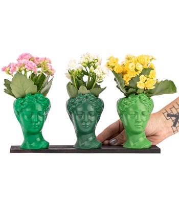 Trio Mini Helen Serisi Kalanchoe Tasarım - Green Colors