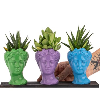 Trio Mini Helen Haworthia ve Sukulent Tasarım / Açık Yeşil - Lila - Turkuaz Colors