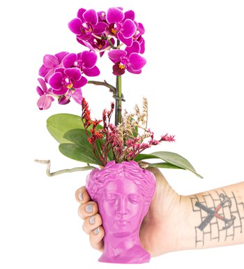 Mini Helen Serisi Tek Dal Orkide Tasarım - Fuşya Pembe
