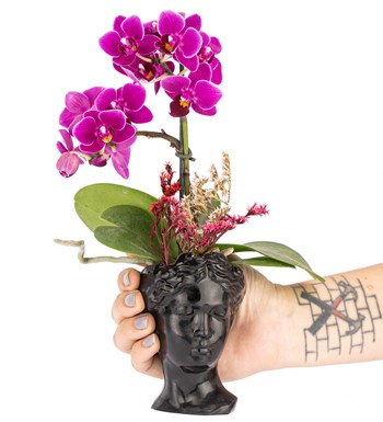 Mini Helen Serisi Tek Dal Orkide Tasarım - Siyah