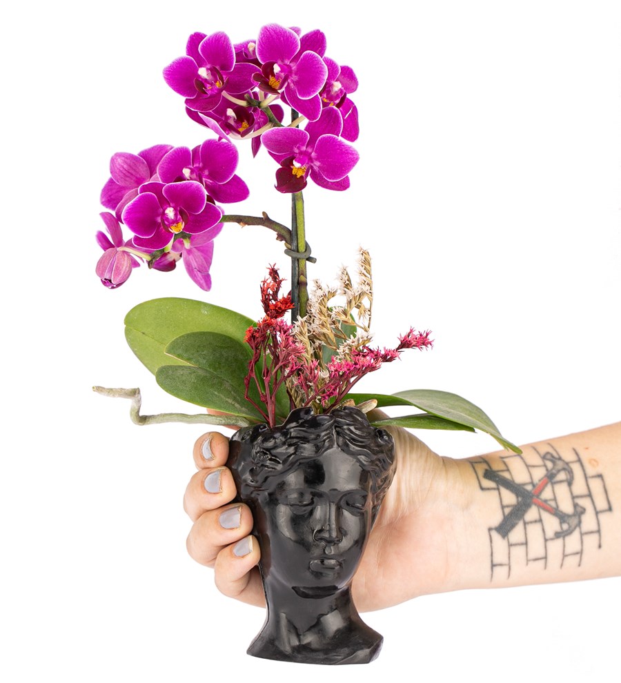Mini Helen Serisi Tek Dal Orkide Tasarım - Siyah