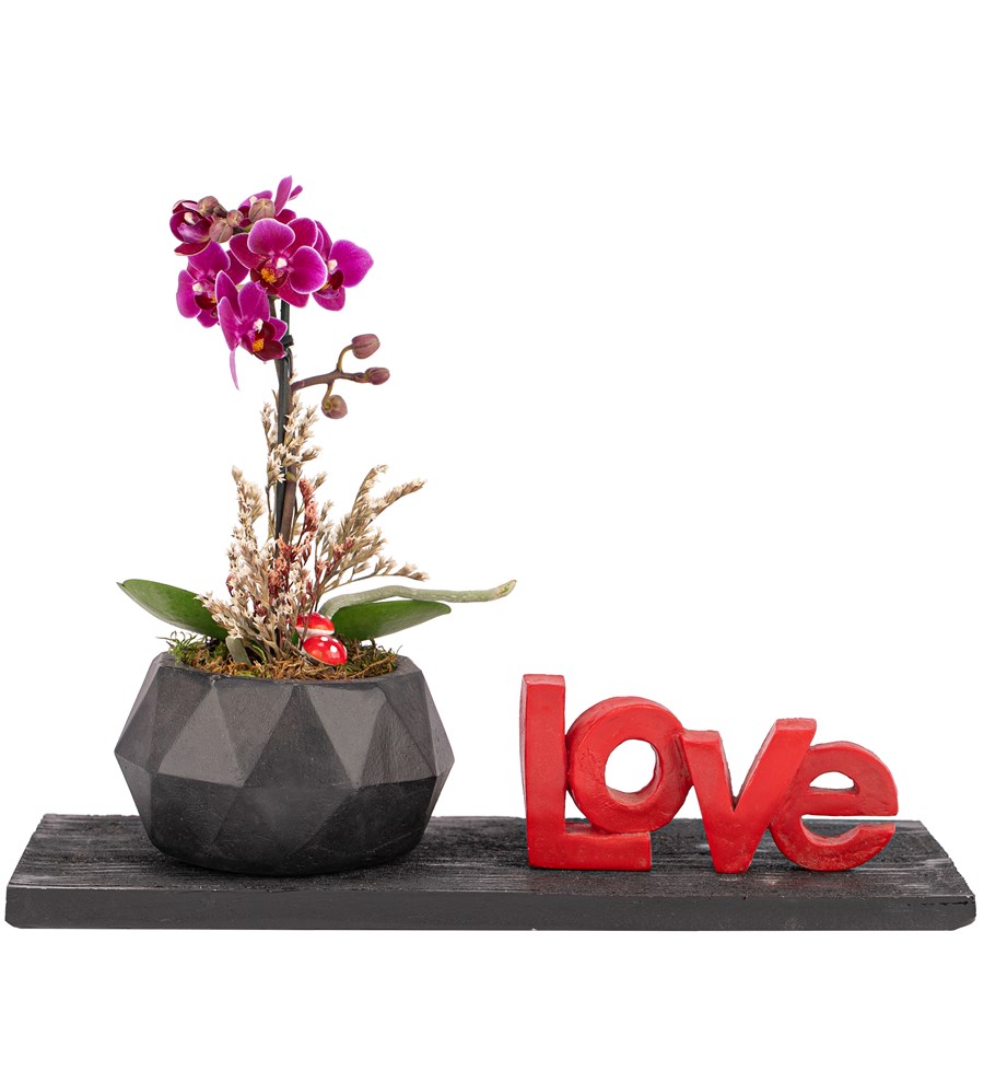 Love Serisi Mini Mor Orkide Tasarım