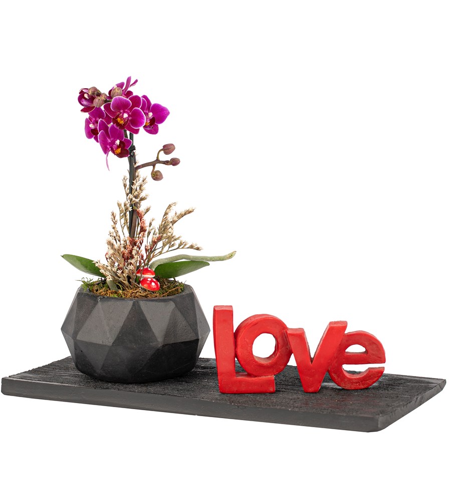 Love Serisi Mini Mor Orkide Tasarım