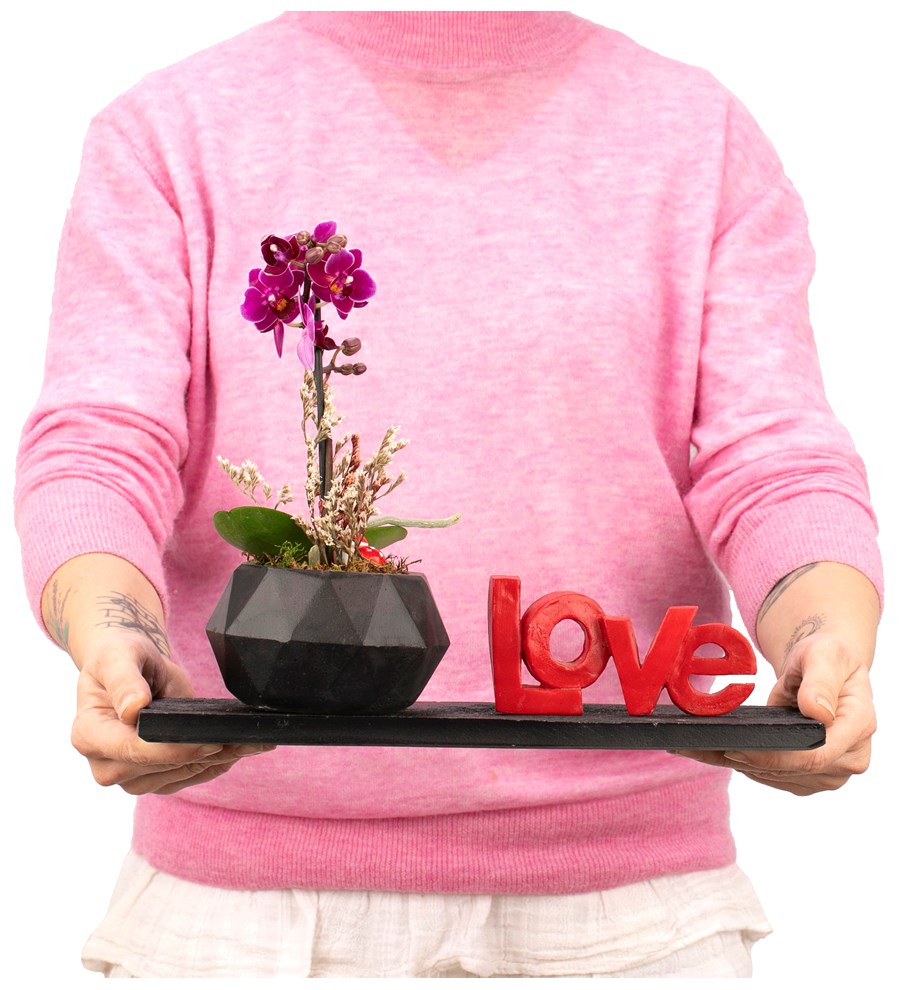 Love Serisi Mini Mor Orkide Tasarım