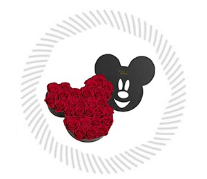 Mickey Kutular
