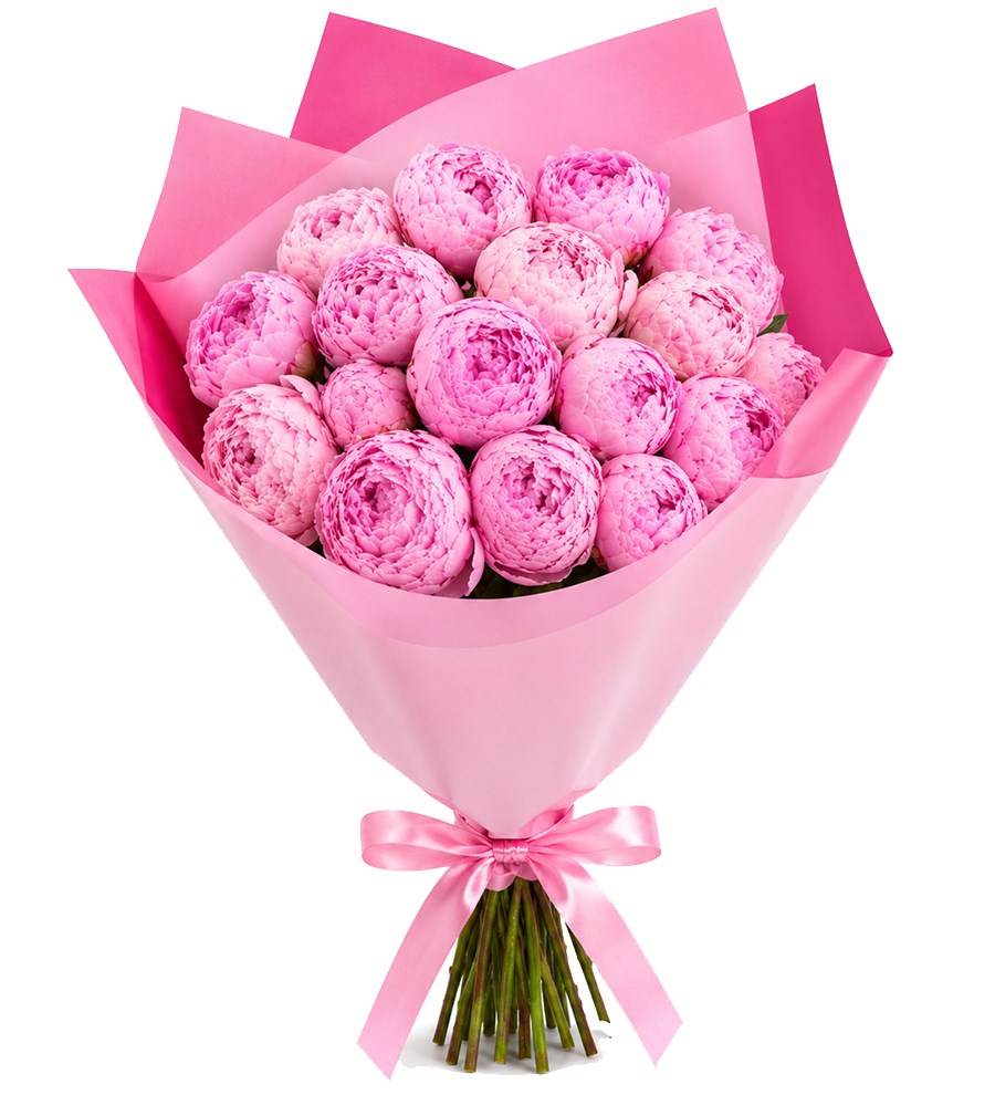 Pembe Ambalajda 17'li Pembe Şakayık Buketi