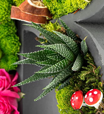 Kişiye Özel Harf Saksıda İthal Renkli Mini Gül ve Sukulent Tasarım