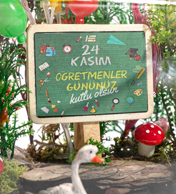 Öğretmenler Günü Özel Teraryum