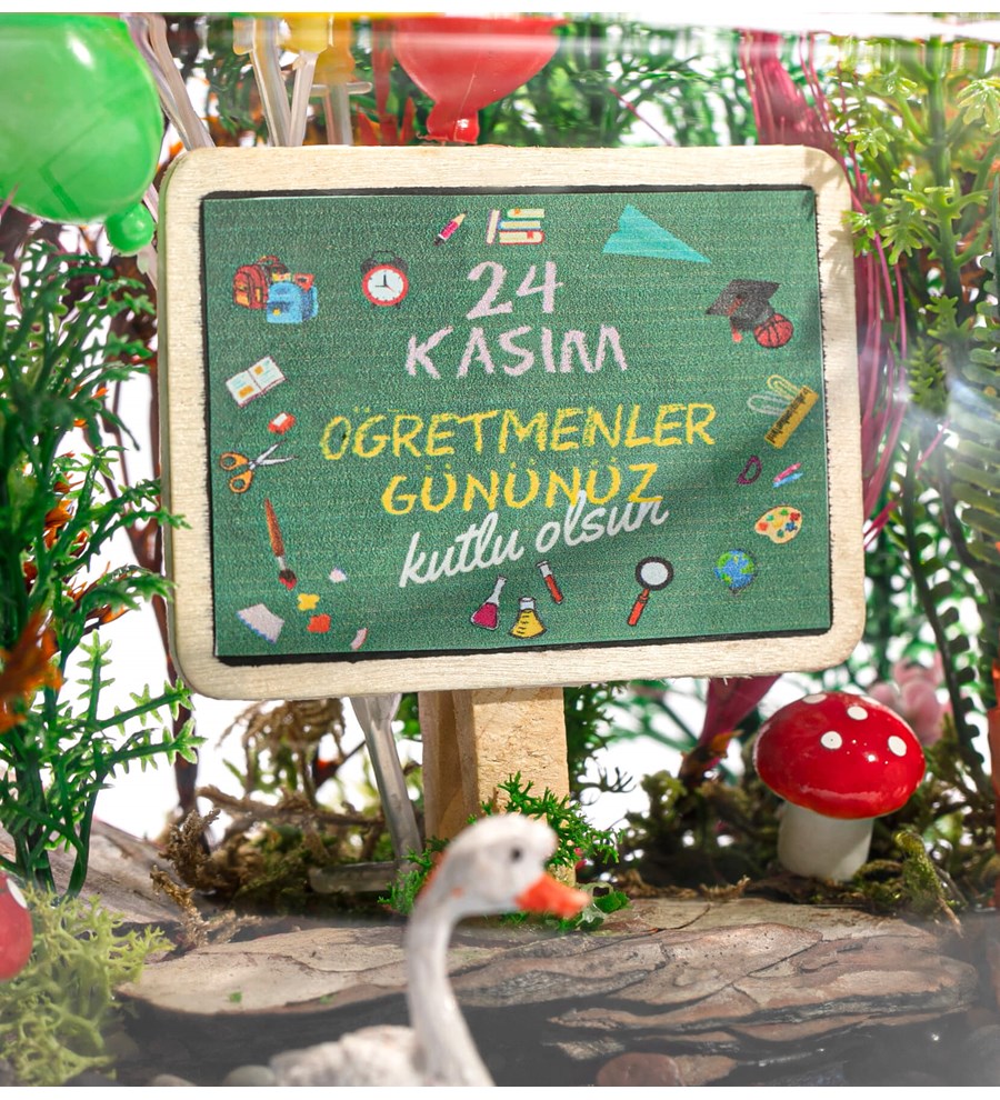 Öğretmenler Günü Özel Teraryum