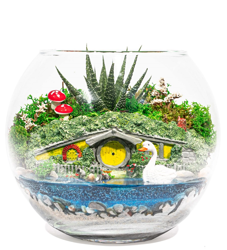 Shire Serisi Hobbit Bahçesi Haworthia Göl Evi Teraryum