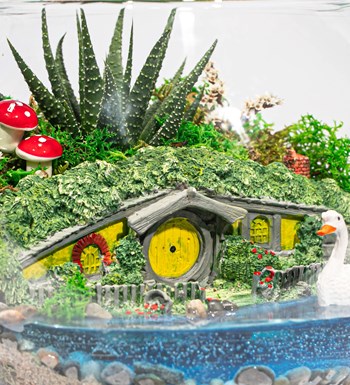 Shire Serisi Hobbit Bahçesi Haworthia Göl Evi Teraryum