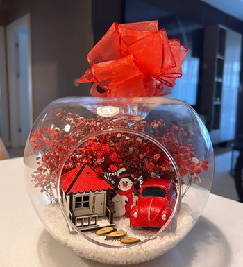 Lilyana Flowers - Yeni Yıl Teraryum Yılbaşı 3