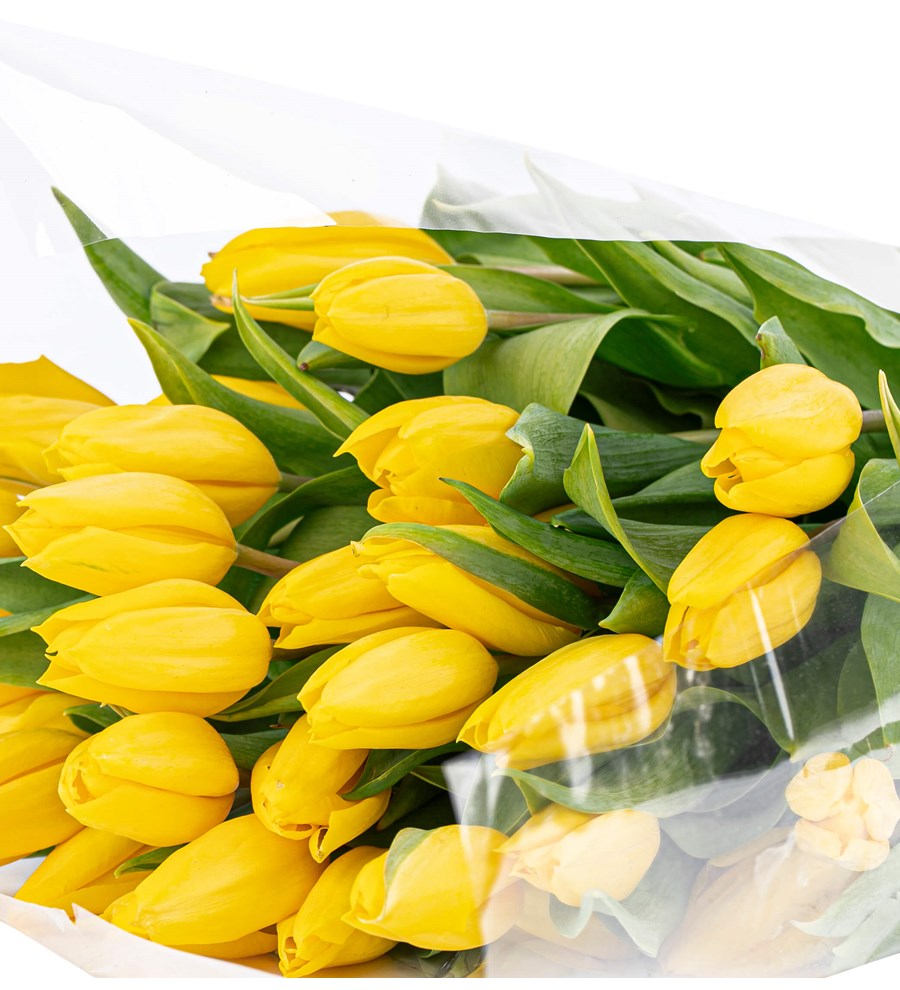 You are My Flower Sarı Lale Buketi