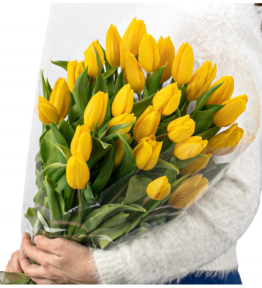 You are My Flower Sarı Lale Buketi