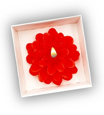 Sevgililer Günü Temalı Kişiye Özel Kırmızı Fincan & Kalpli Kar Küresi & Kırmızı Çiçek Mum Hediye Seti