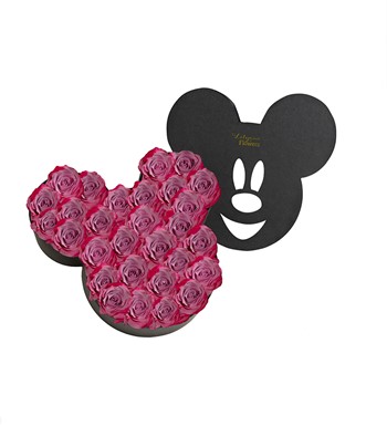 mickey kutuda lila gül