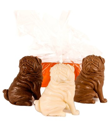 3'lü Kahverengi- Beyaz Pug Mum Tasarım