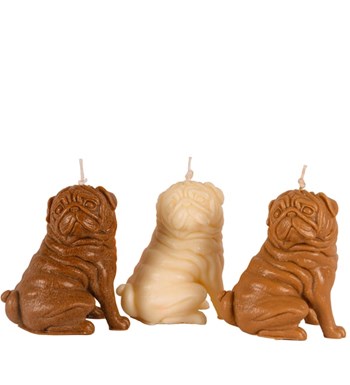 3'lü Kahverengi- Beyaz Pug Mum Tasarım