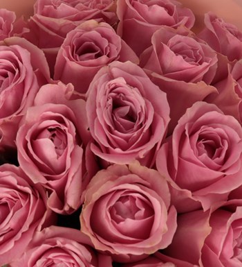 71'li Premium Pembe Gül Buketi