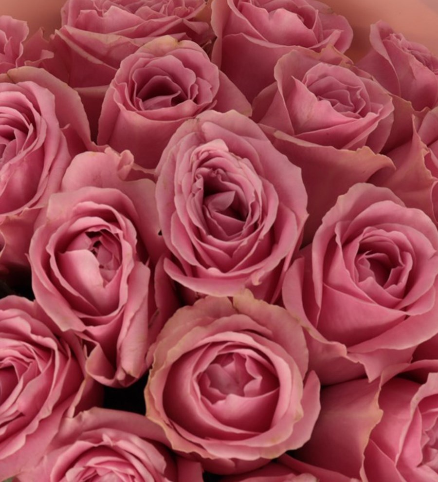 71'li Premium Pembe Gül Buketi