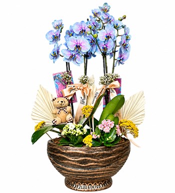Lilyana Flowers - 4 Dallı Alacalı Mavi Orkide Aranjmanı