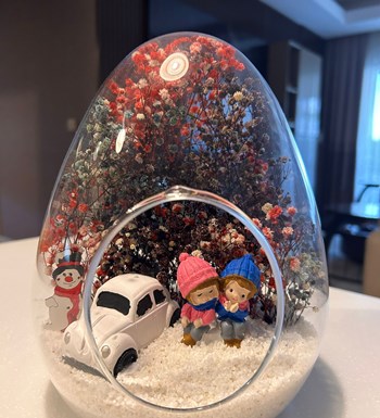 Lilyana Flowers - Yeni Yıl Teraryum Yılbaşı 5