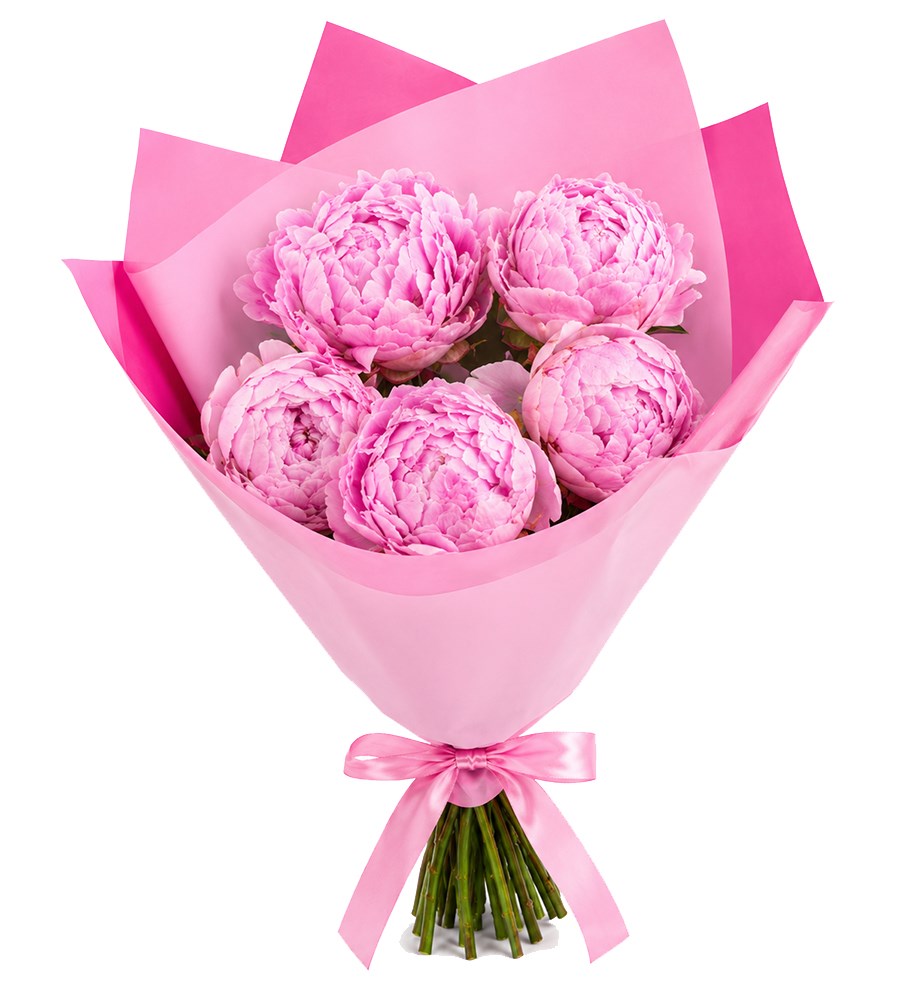 Pembe Ambalajda 5'li Pembe Şakayık Buketi