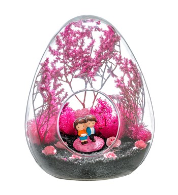 Teraryum Pembe Rüyam