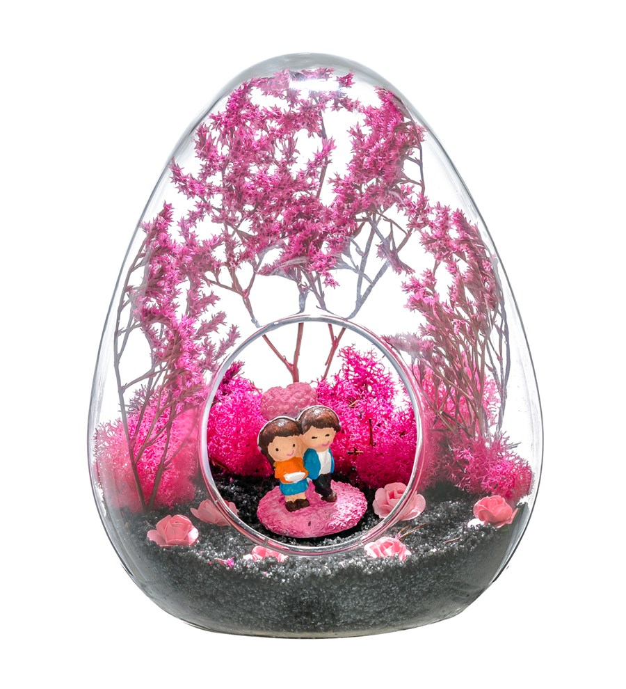 Teraryum Pembe Rüyam