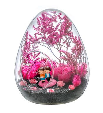 Teraryum Pembe Rüyam