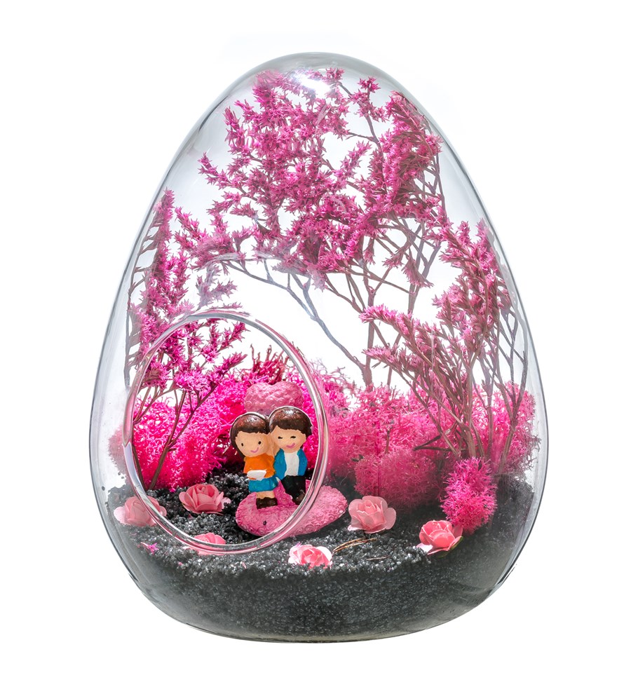 Teraryum Pembe Rüyam