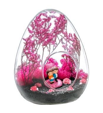 Teraryum Pembe Rüyam