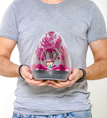 Teraryum Pembe Rüyam