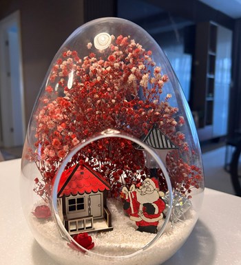 Lilyana Flowers - Yeni Yıl Teraryum Yılbaşı 8