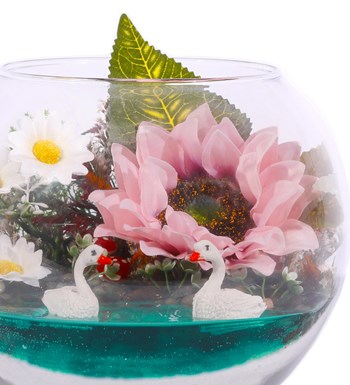 SunFlower Bizim Pembe Bahçemiz Teraryum