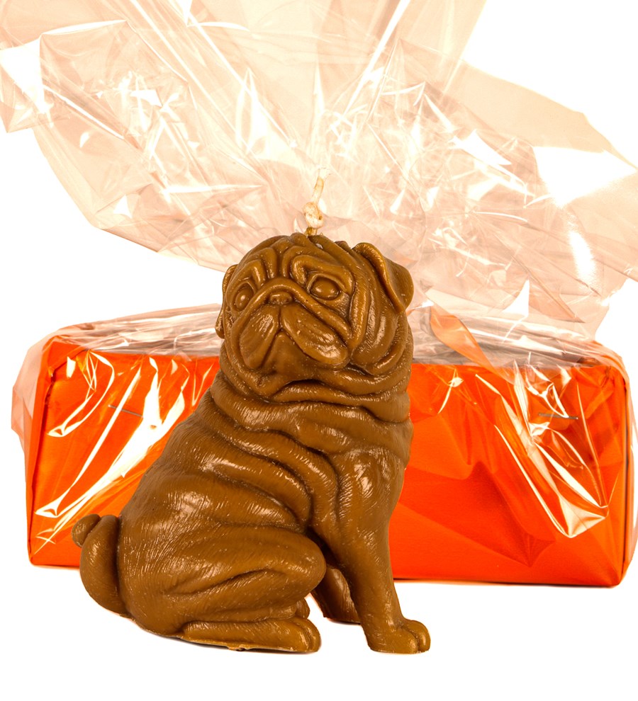 Kahverengi Pug Mum Tasarım