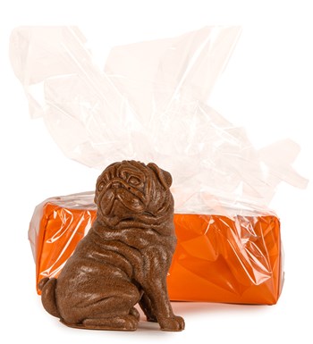 Koyu Kahverengi Pug Mum Tasarım