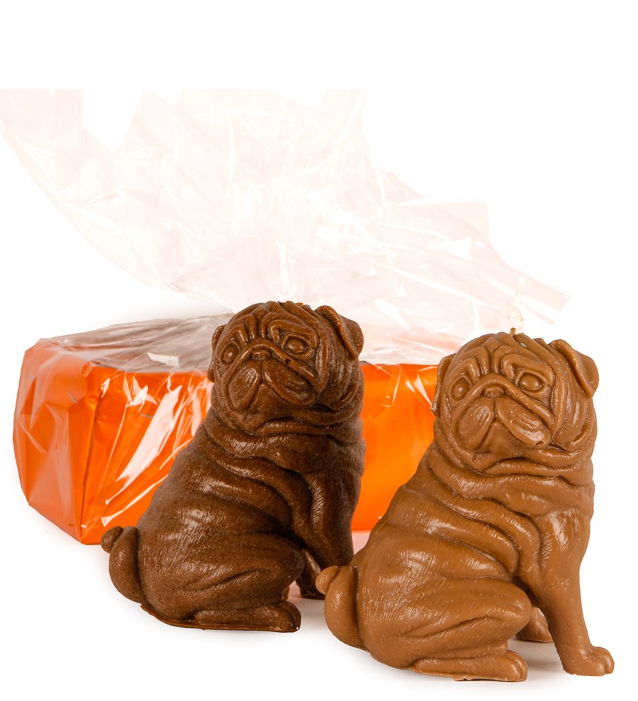 2'li Kahverengi Pug Mum Tasarım