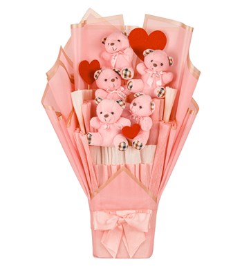 Pink Serisi - Ekose Desenli Pembe Peluş Ayıcık Buketi