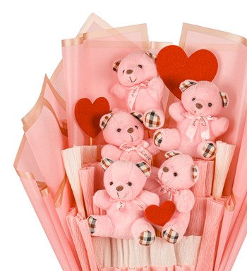 Pink Serisi - Ekose Desenli Pembe Peluş Ayıcık Buketi