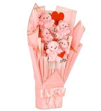Pink Serisi - Ekose Desenli Pembe Peluş Ayıcık Buketi