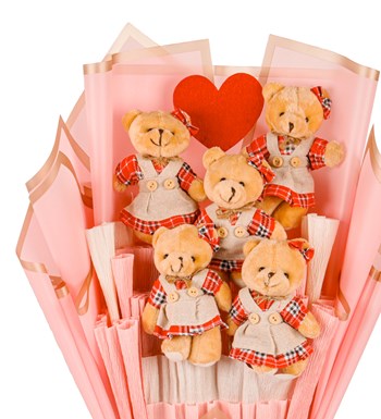Pink Serisi - Ekose Elbiseli Peluş Ayıcık Buketi
