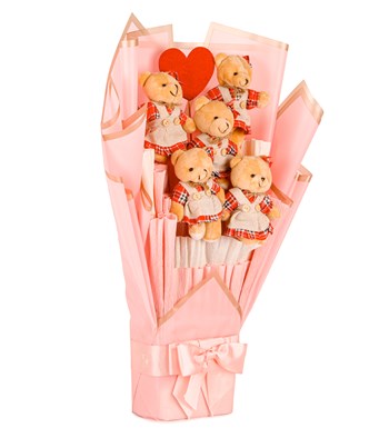 Pink Serisi - Ekose Elbiseli Peluş Ayıcık Buketi