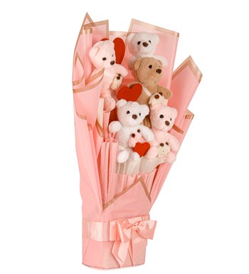 Pink Serisi - Çantalı Peluş Ayıcık Buketi