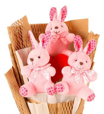 Little Kraft Serisi - Pembe Peluş Tavşan Buketi