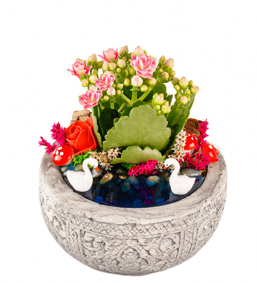 Kayıp Hazineler Serisi Kalanchoe Teraryum