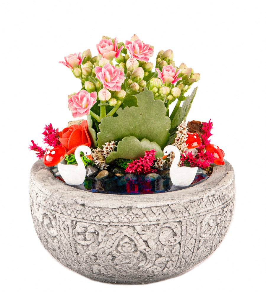 Kayıp Hazineler Serisi Kalanchoe Teraryum