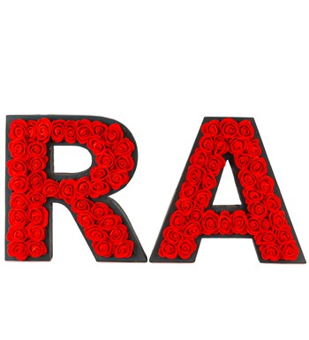 Kişiye Özel 2'li Harf Saksıda İthal Kırmızı Yapay Gül Tasarım