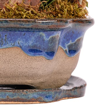 Art of Ceramic Series - Mini Mor Orkideler 