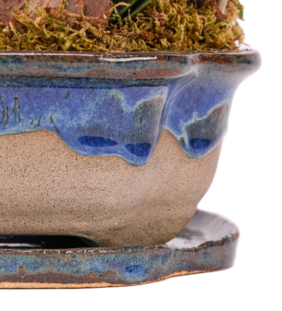 Art of Ceramic Series - Mini Mor Orkideler 